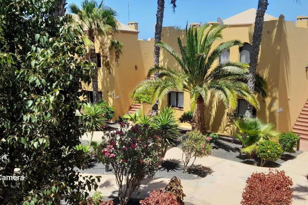 Apartment Cumbre Vieja Fuerteventura Corralejo Exterior photo